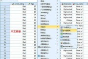 电脑英文转化成中文_英文转化成中文