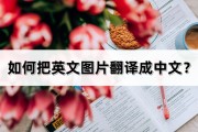 英语翻译成中文的翻译(英语翻译成中文的翻译公司)