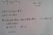 初中数学题及答案解析_初中数学题目及答案及解析