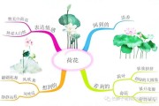 小学语文二年级下册思维导图(语文二年级下册的思维导图简单又漂亮)