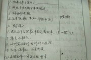 听课记录表小学一年级语文(听课记录表小学)