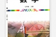 初中数学课本电子版_初中数学课本电子版九年级上册