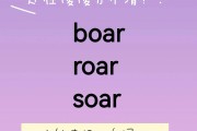 1000个日常英语单词(1000个日常英语单词四年级)