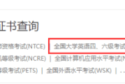 英语四级成绩查询_英语四级成绩什么时候出成绩