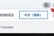 谷歌翻译英文_谷歌翻译英文翻译中文