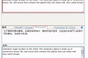 百度在线翻译英文翻译中文_百度在线翻译