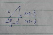 初中数学公式死记硬背管用吗(初中数学公式sin)