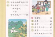 小学语文教育课程表(小学语文教育课程)