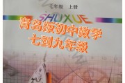 初中数学教学中存在的问题(初中数学教学)