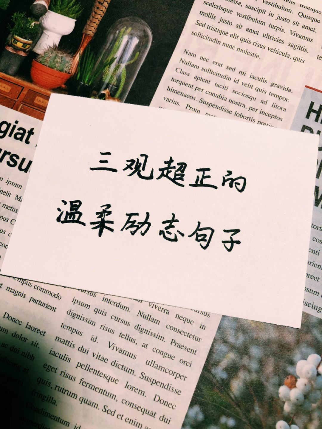 三观超正的温柔句子英文_三观超正的温柔句子英文长句