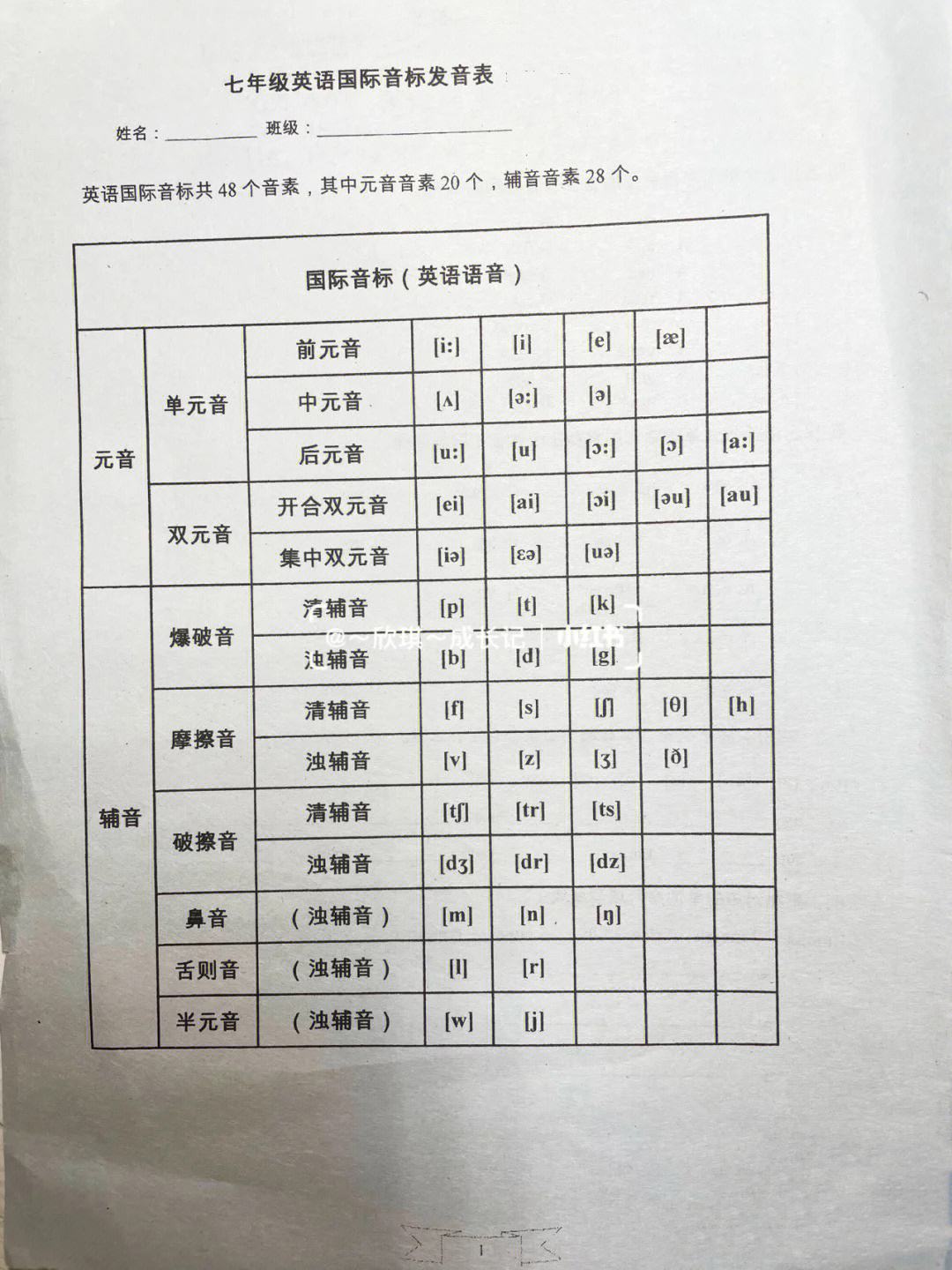 初中英语音标教学视频(初中生英语音标教学视频下载)