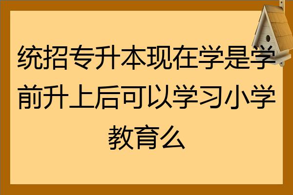 小学语文教育专升本可以升什么专业_小学语文教育专升本可以升什么专业好