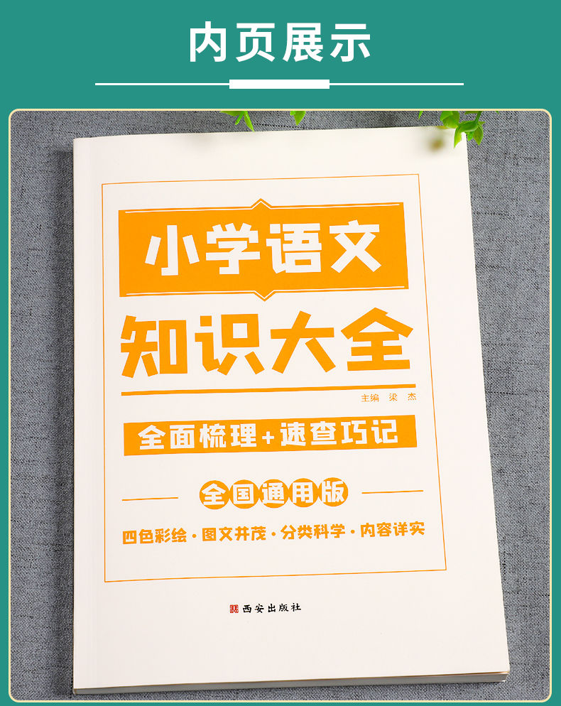 小学语文知识大全浙江版电子书(小学语文知识大全浙江版电子书古诗词阅读)