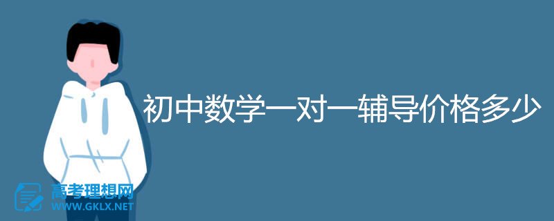 初中数学一对一辅导多少钱一小时_初中数学一对一