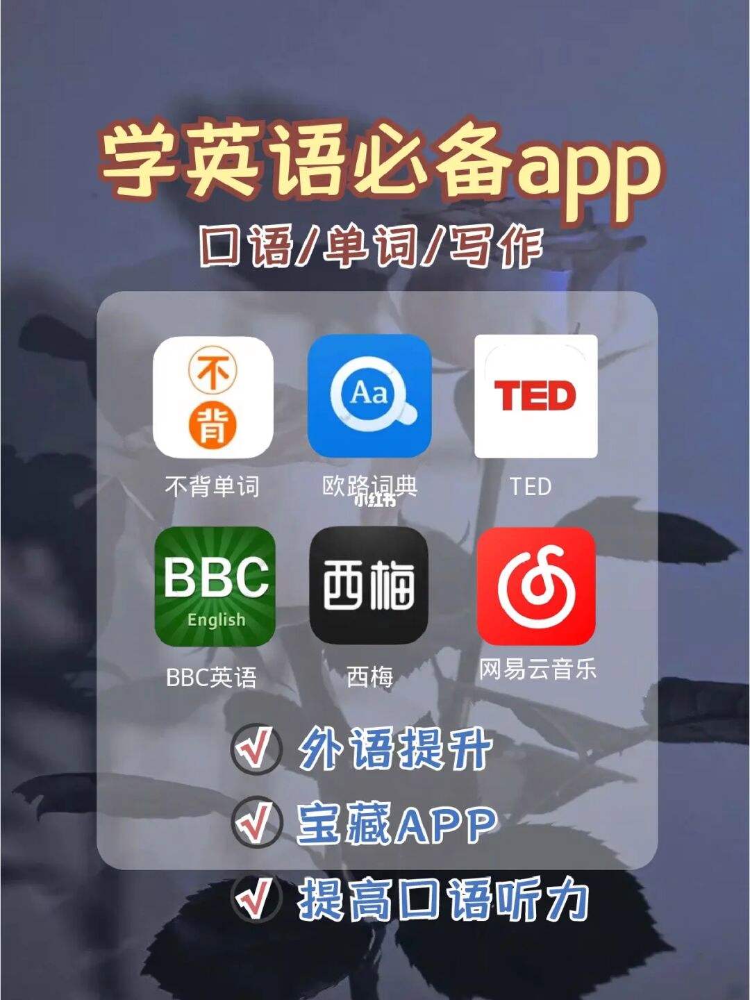 电脑学英语的软件哪个好用app(学英语的软件哪个好用app)