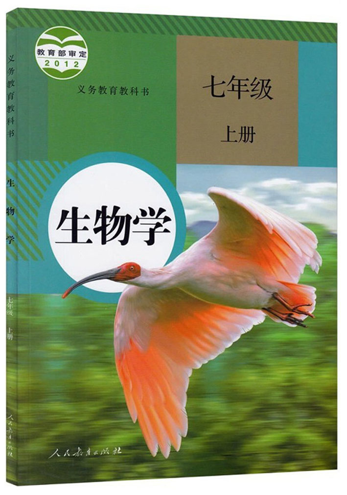 初中语文教学工作总结个人 简洁版(初中语文教学工作总结)