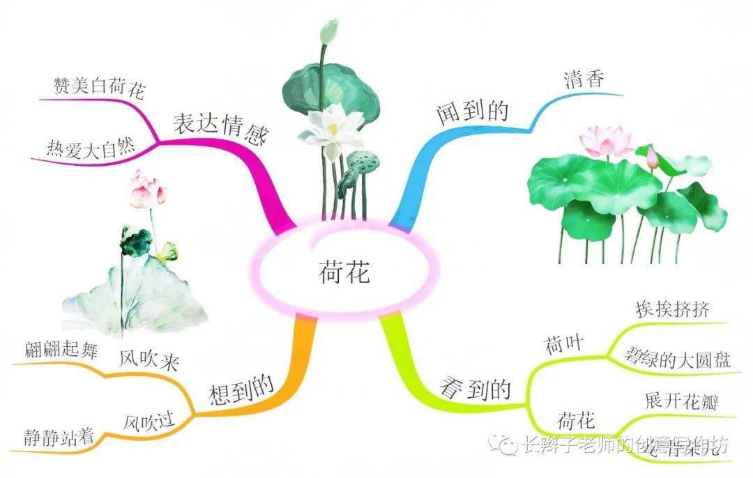 小学语文二年级下册思维导图(语文二年级下册的思维导图简单又漂亮)