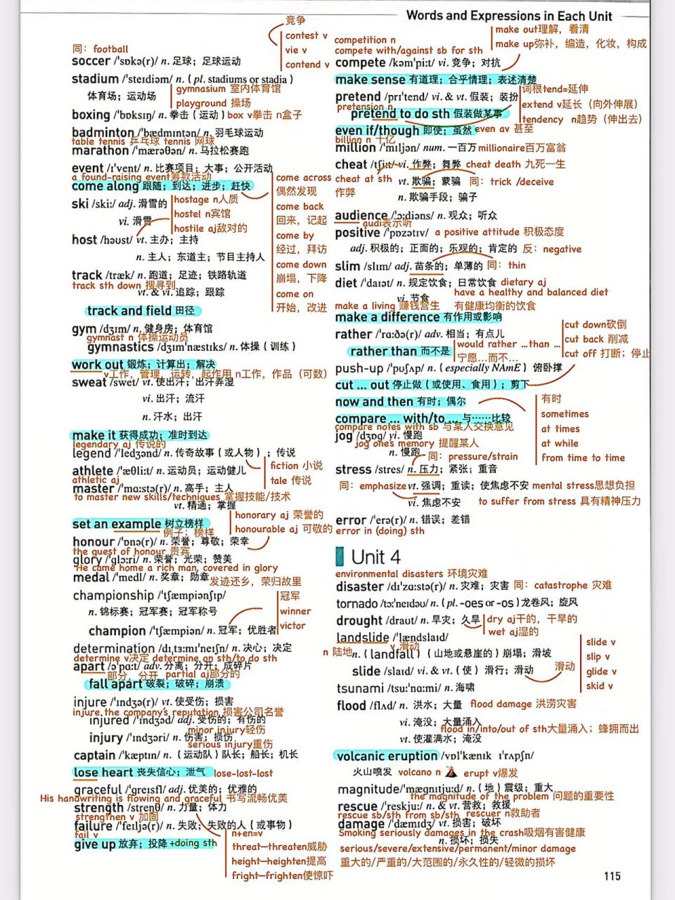 高中英语必修一unit5单词音频在线听(高中英语必修一unit5单词朗读)