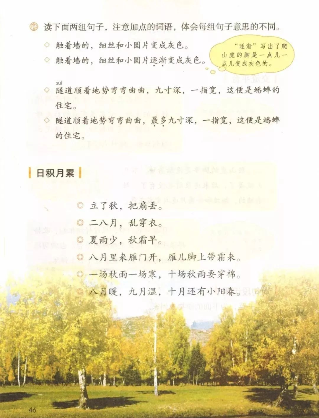 小学四年级语文课本上册电子版(小学四年级语文课本上册电子版人教版)