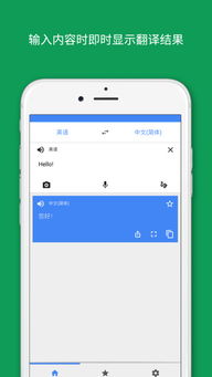 游戏翻译器实时翻译(翻译器实时翻译)