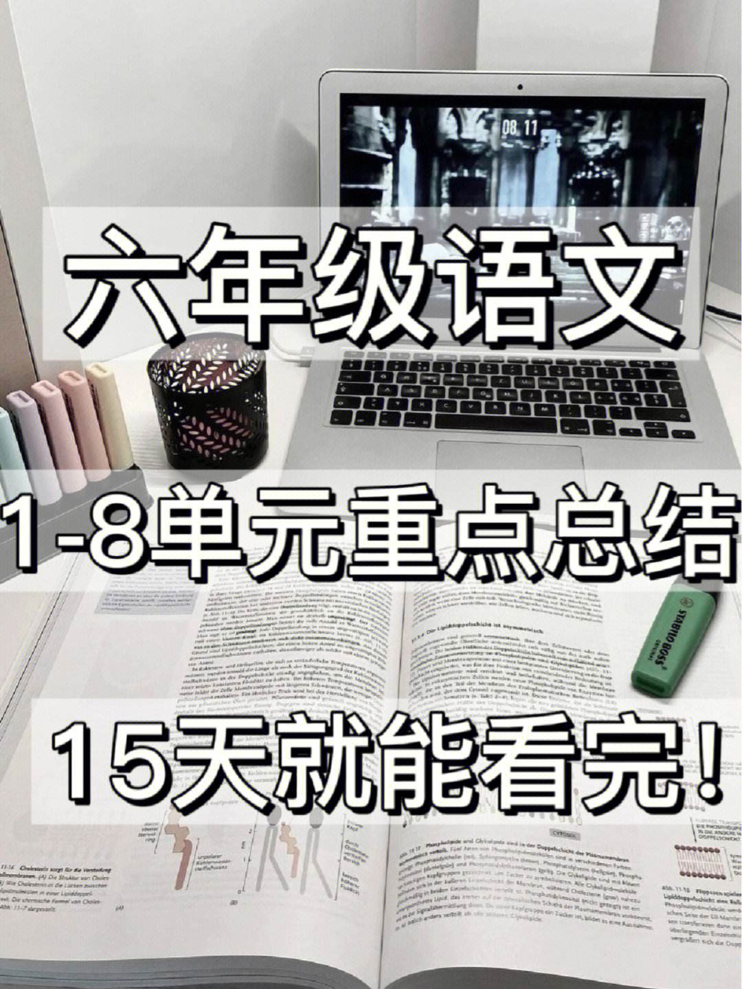 小学语文知识大全六年级下册_六年级下册语文知识大集结