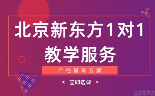 新东方一对一高中_新东方一对一高中2023