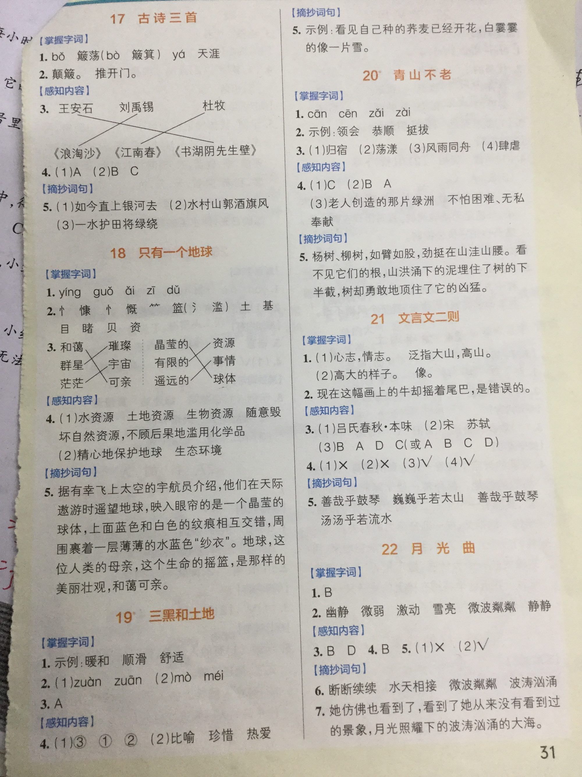 小学语文知识大全浙江专版电子版免费的简单介绍