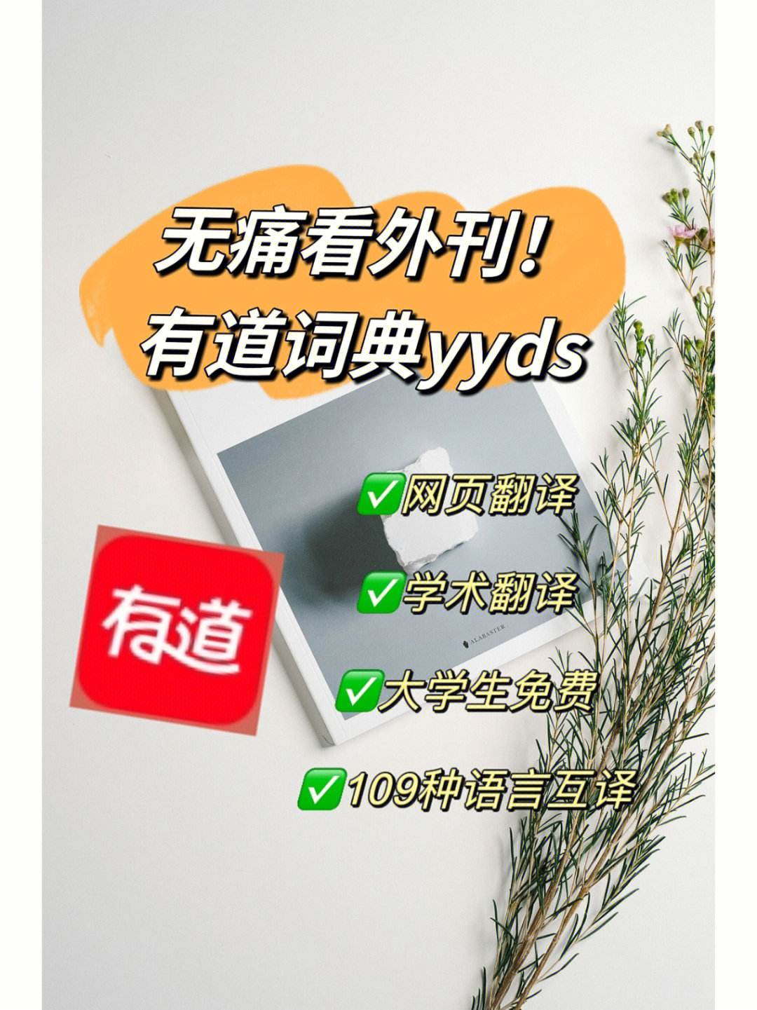 关于英语翻译器在线翻译有道词典的信息