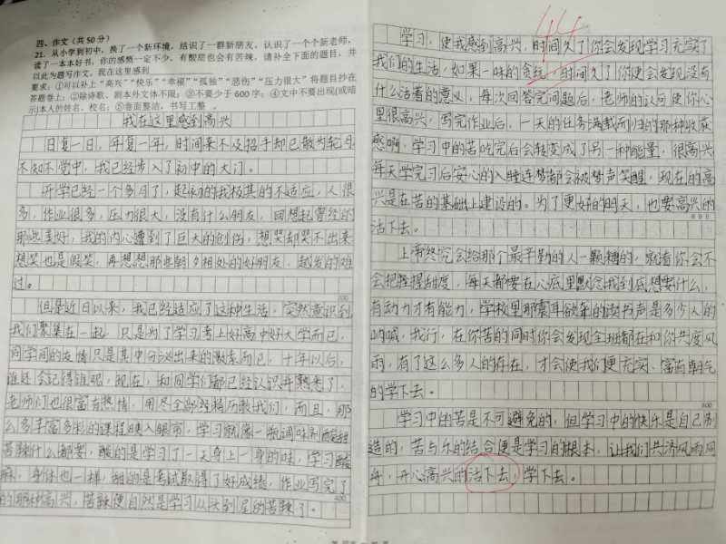 初中语文作文题目以及范文600字左右(初中语文作文题目以及范文600)