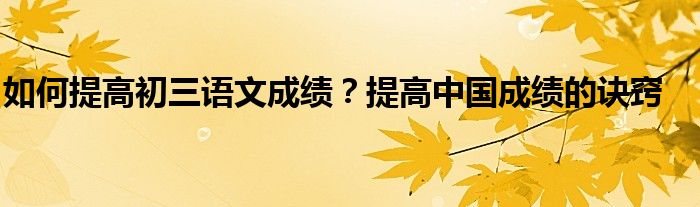 初中如何提高语文成绩的方法和建议(初中提高语文成绩的方法)