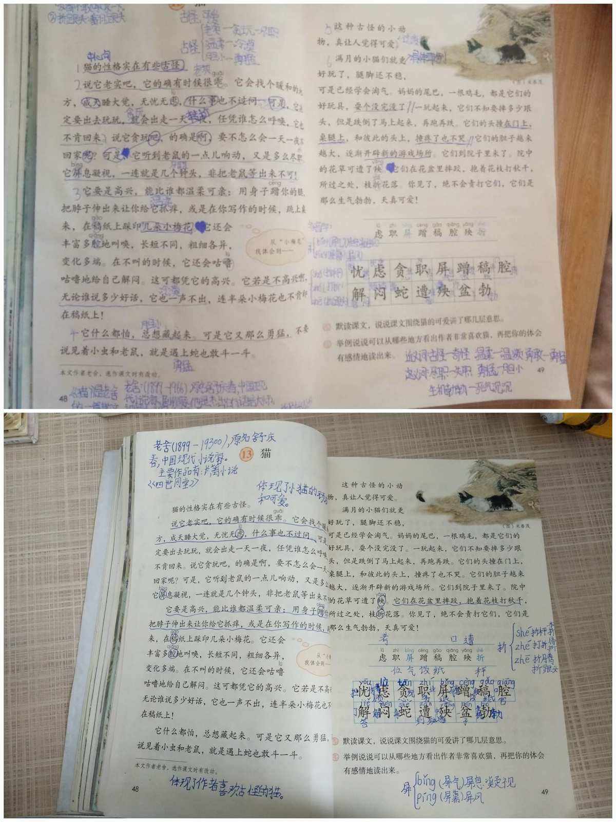 线上小学语文教学总结_小学语文线上教学工作总结