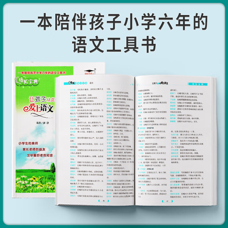 小学语文知识大全全国版电子版阅读(小学语文知识大全全国版)