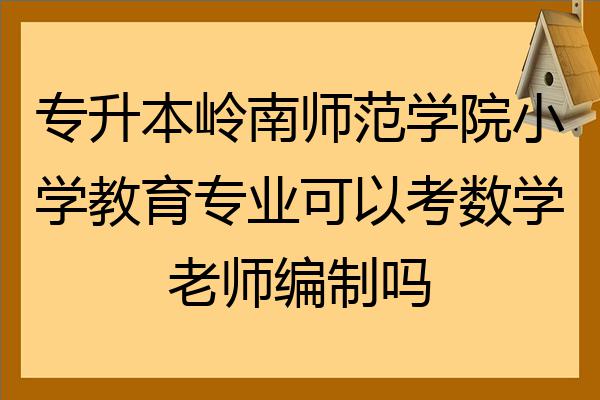 小学数学教育专升本可以升哪些专业学校_小学数学教育专升本可以升哪些专业