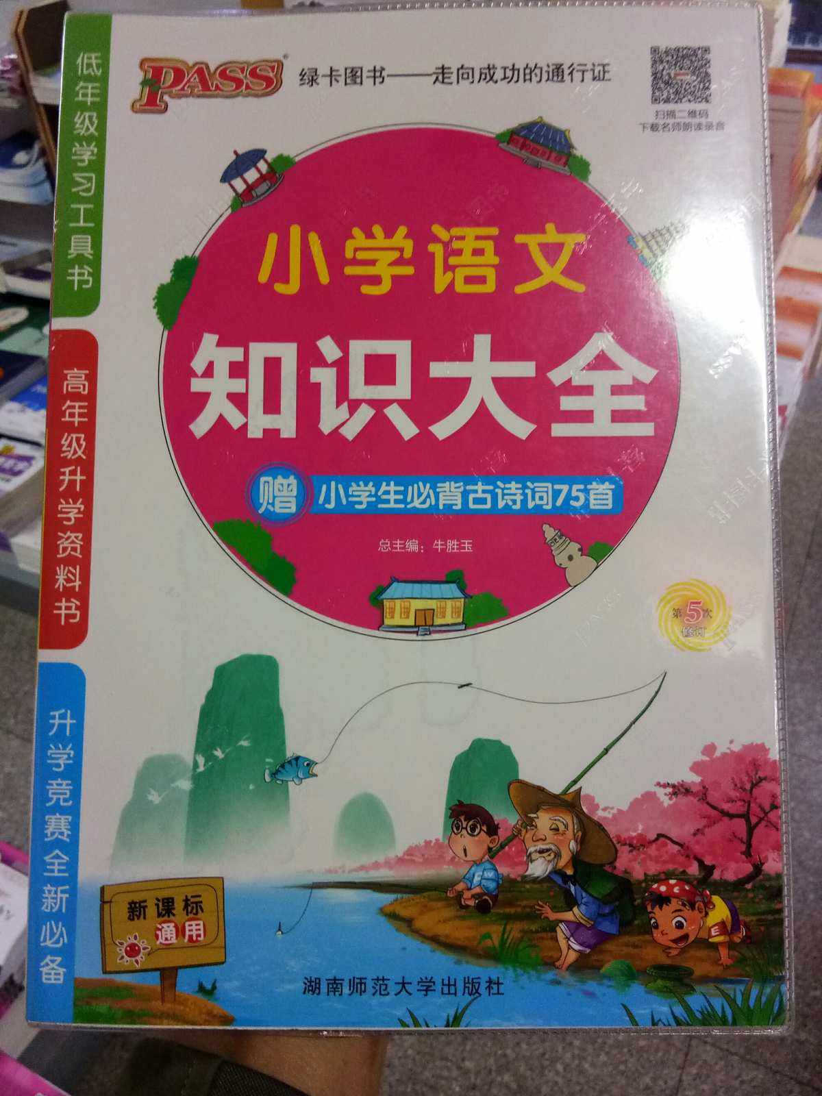 小学语文知识大全古诗(小学语文知识大全)