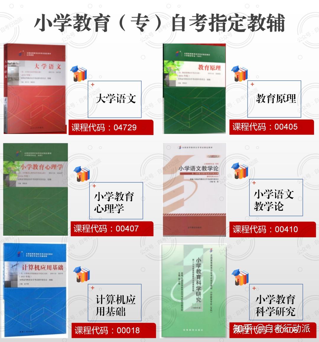 小学语文教育就业方向_小学语文教育就业方向和前景分析