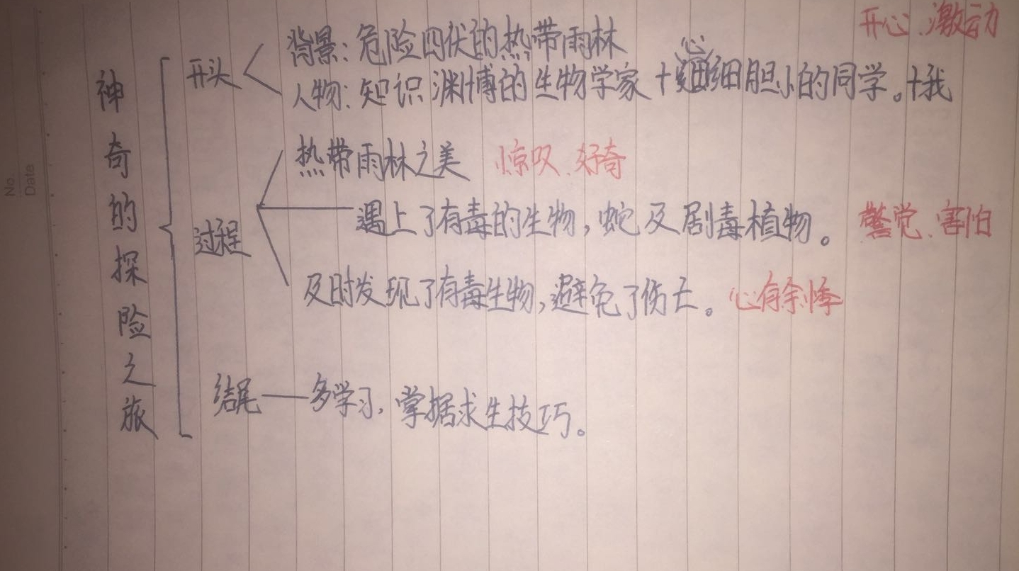 初中语文课文的提纲总结怎么写(初中语文课文的提纲总结)