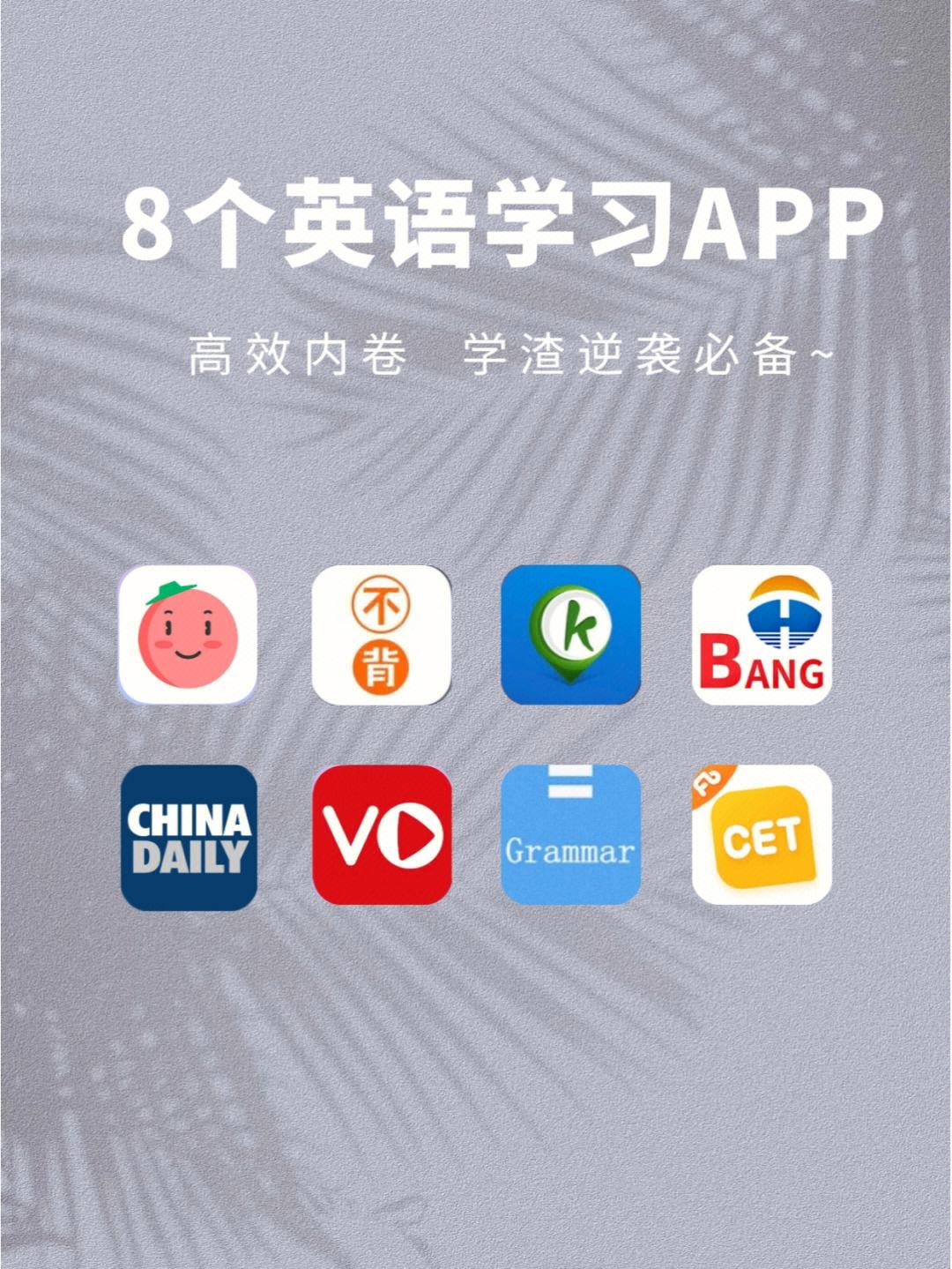 英语口语软件app(英语口语软件推荐免费)