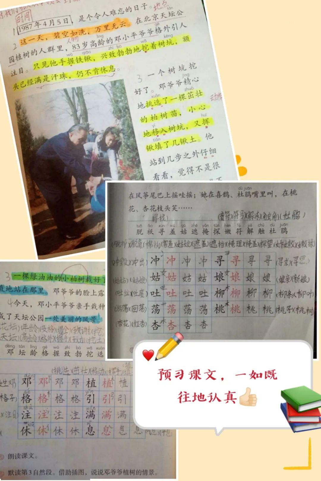 小学二年级语文网课(小学语文二年级上免费网课)