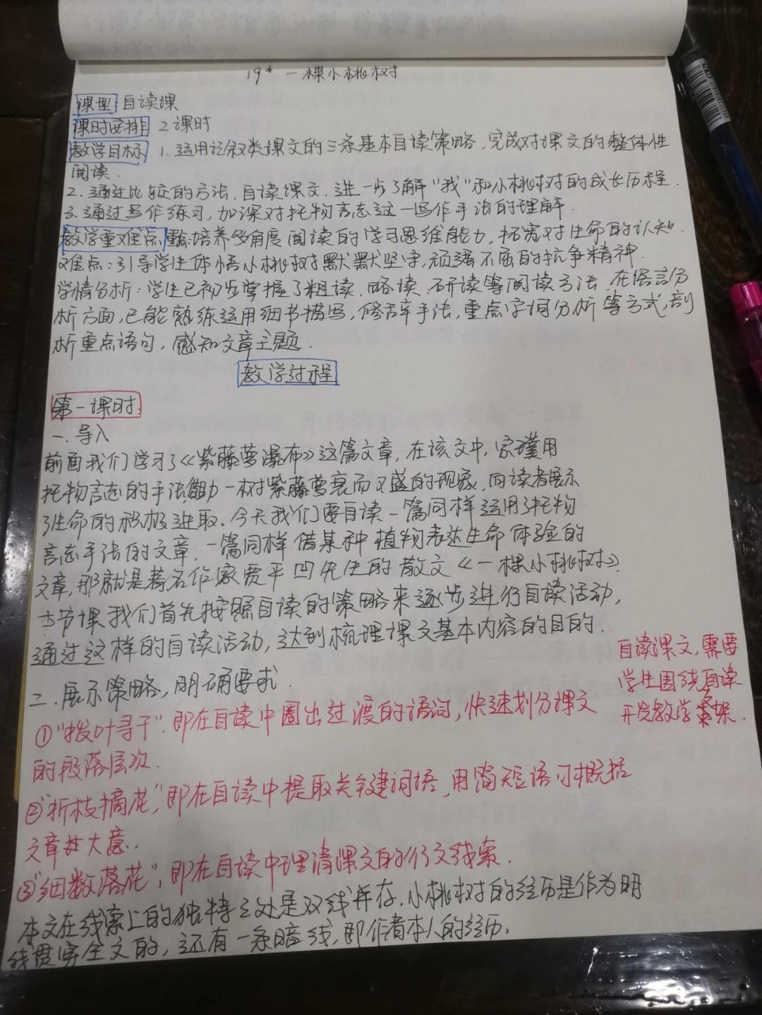 初中语文教案书写流程(初中语文怎么讲,怎么写教案)