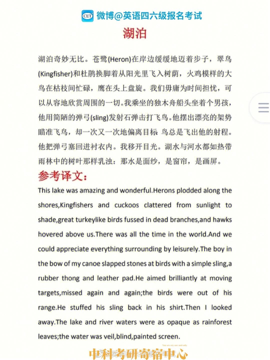 在线翻译英语翻译中文文章_在线英语翻译文字