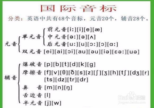 英语音标48个发音教学视频(英语音标48个发音教学视频哔哩哔哩)